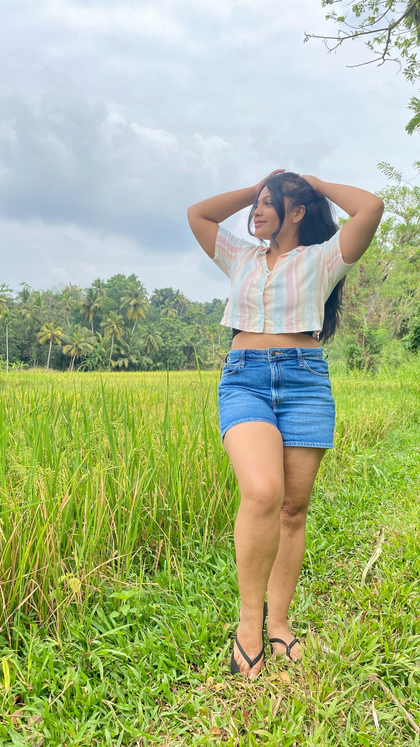 Stripes Crop Top