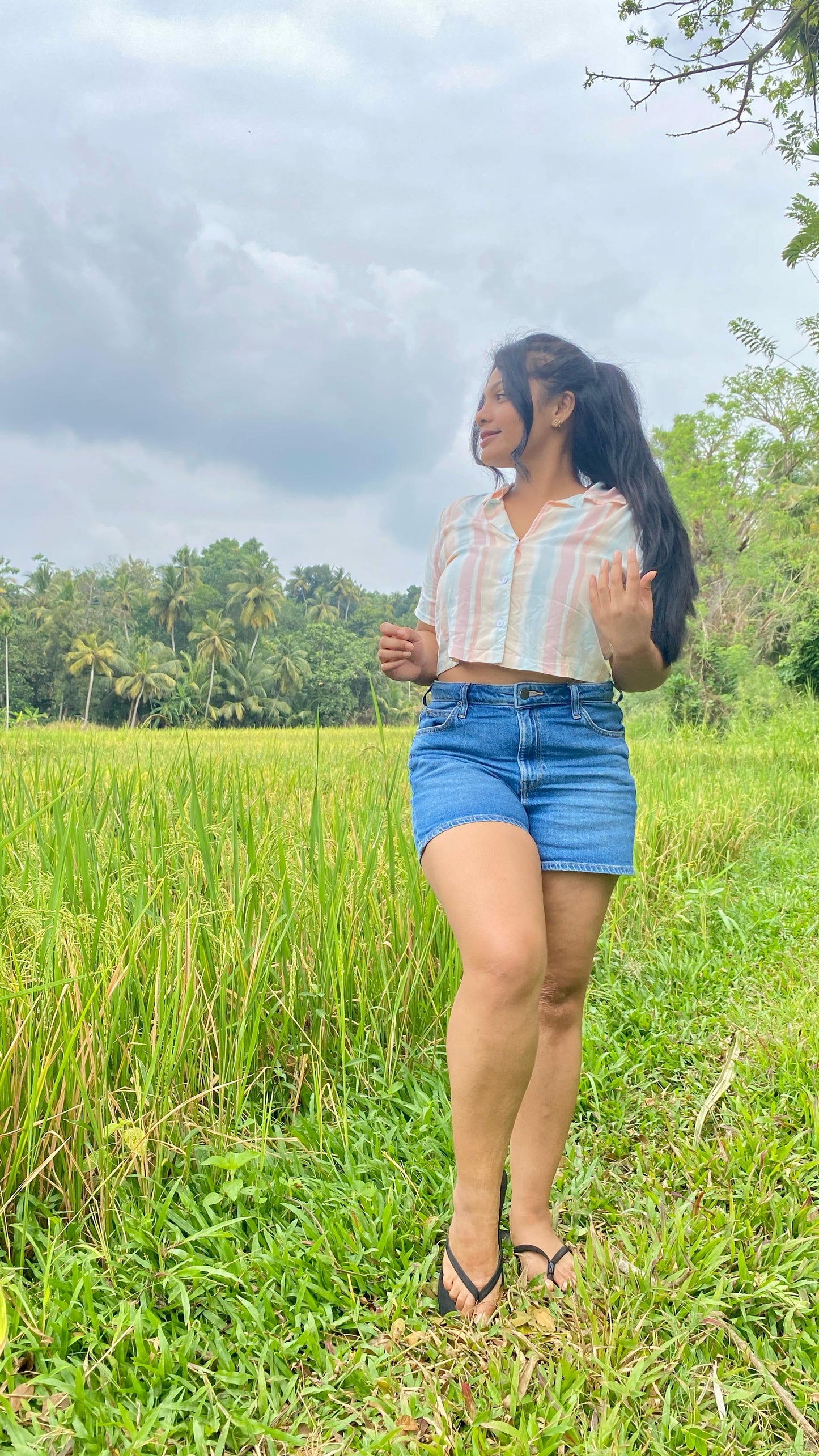 Stripes Crop Top