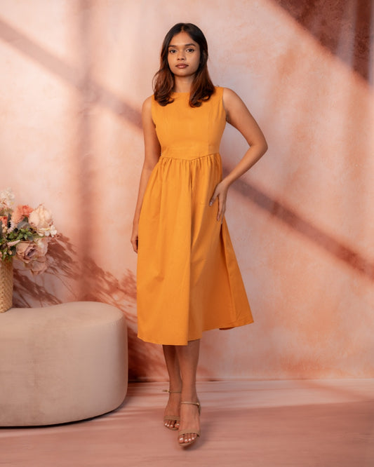 Amora Butterscotch
